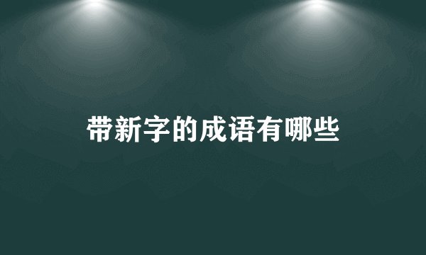 带新字的成语有哪些