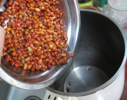 红豆和红枣能一起打豆浆吗