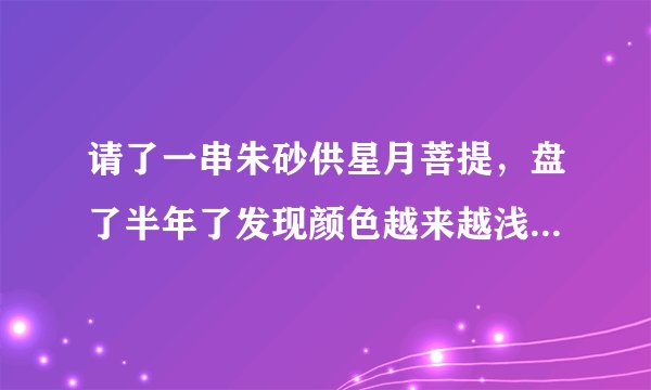 请了一串朱砂供星月菩提，盘了半年了发现颜色越来越浅，喇叭口位置买