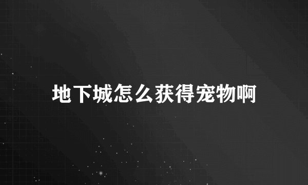 地下城怎么获得宠物啊