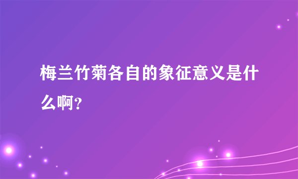 梅兰竹菊各自的象征意义是什么啊？