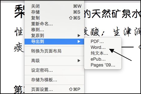 如何在iphone上将pages转化成word