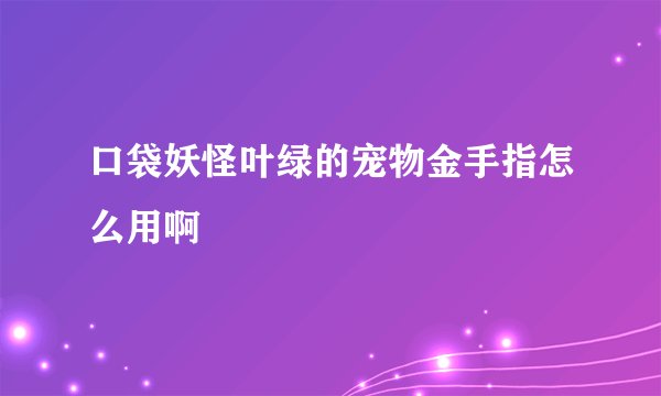 口袋妖怪叶绿的宠物金手指怎么用啊