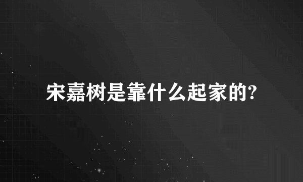 宋嘉树是靠什么起家的?