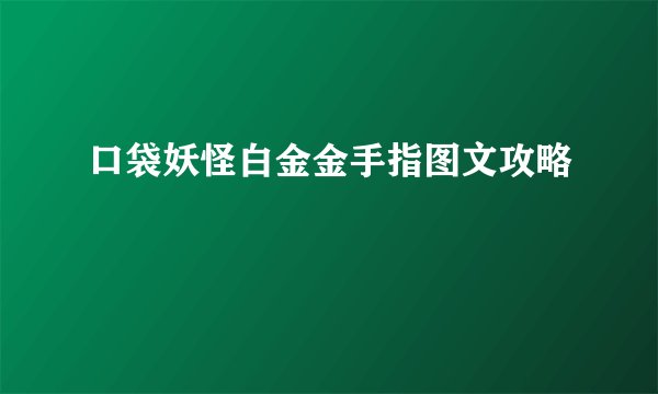口袋妖怪白金金手指图文攻略
