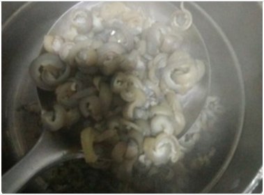 阿胶是怎么制成的
