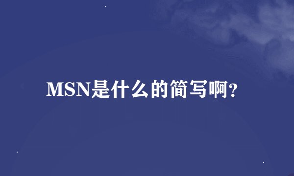 MSN是什么的简写啊？