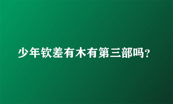 少年钦差有木有第三部吗？