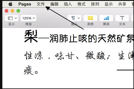 如何在iphone上将pages转化成word
