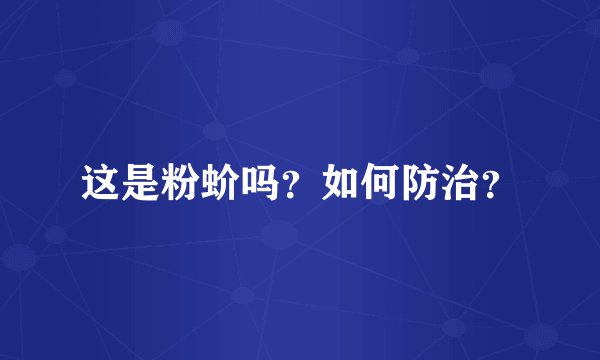 这是粉蚧吗？如何防治？