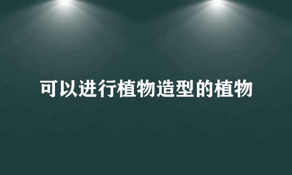 可以进行植物造型的植物