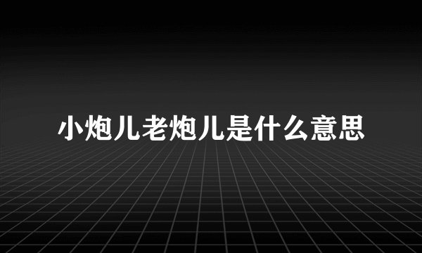 小炮儿老炮儿是什么意思