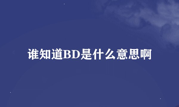谁知道BD是什么意思啊