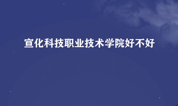 宣化科技职业技术学院好不好