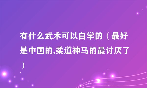 有什么武术可以自学的（最好是中国的,柔道神马的最讨厌了）