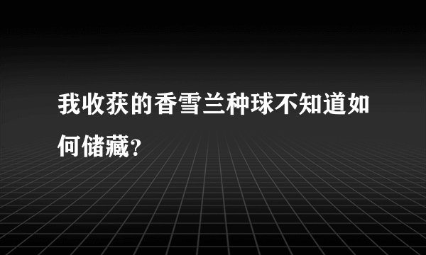 我收获的香雪兰种球不知道如何储藏?