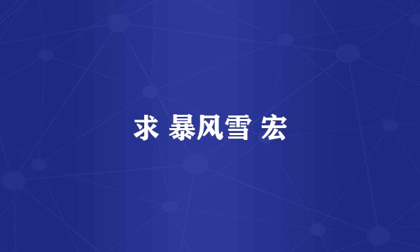 求 暴风雪 宏