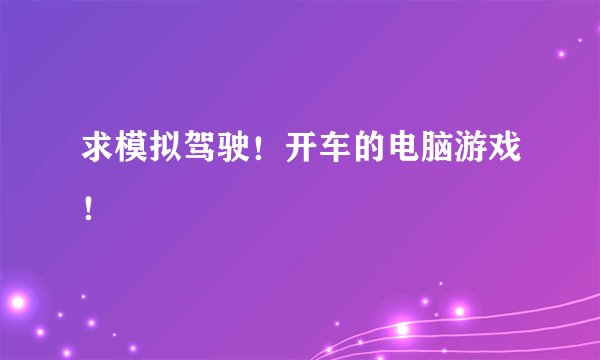 求模拟驾驶！开车的电脑游戏！