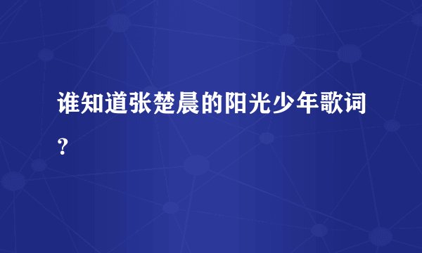 谁知道张楚晨的阳光少年歌词？