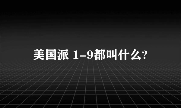 美国派 1-9都叫什么?