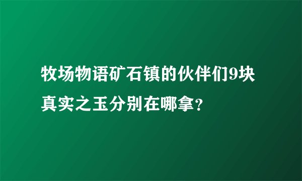 牧场物语矿石镇的伙伴们9块真实之玉分别在哪拿?