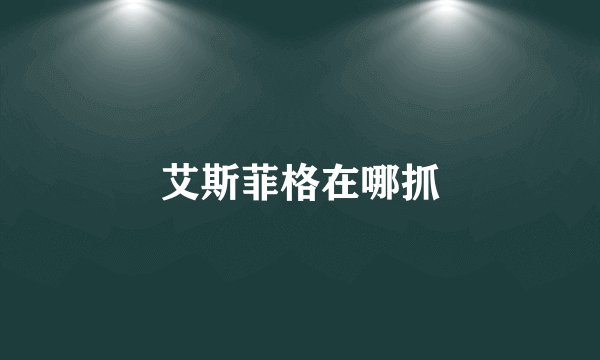 艾斯菲格在哪抓