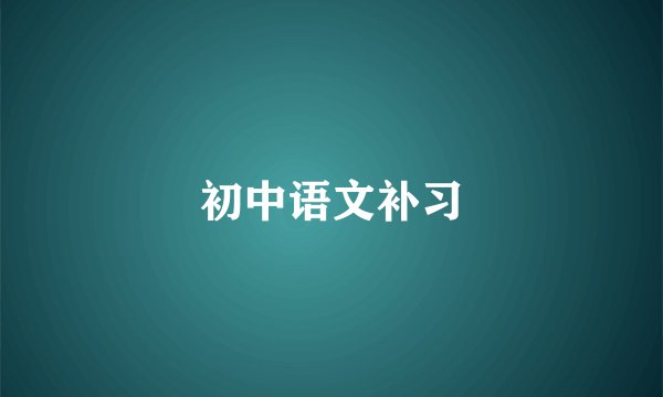 初中语文补习
