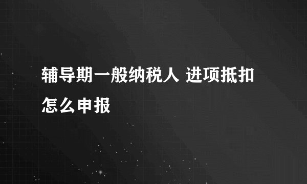 辅导期一般纳税人 进项抵扣怎么申报