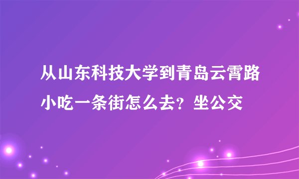 从山东科技大学到青岛云霄路小吃一条街怎么去？坐公交