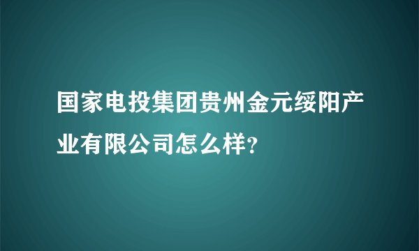 国家电投集团贵州金元绥阳产业有限公司怎么样？