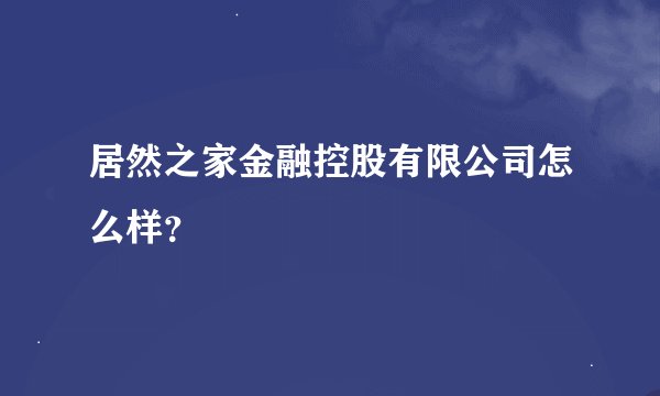 居然之家金融控股有限公司怎么样？