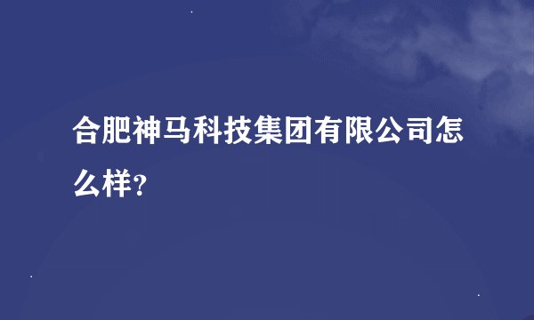 合肥神马科技集团有限公司怎么样？