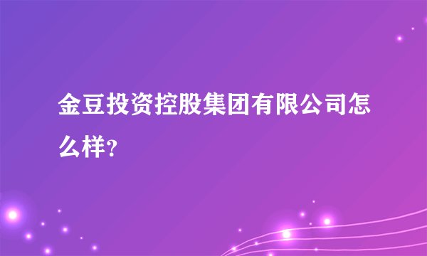 金豆投资控股集团有限公司怎么样？