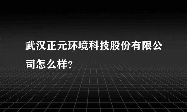 武汉正元环境科技股份有限公司怎么样？