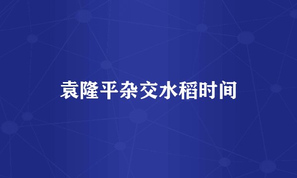 袁隆平杂交水稻时间
