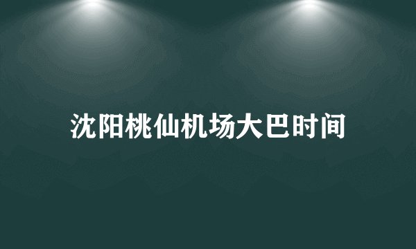 沈阳桃仙机场大巴时间