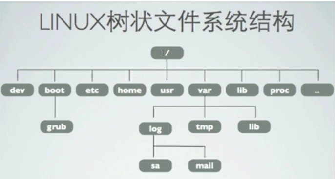 C语言线性结构和非线性结构怎么区分啊?