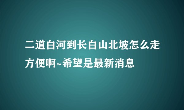 二道白河到长白山北坡怎么走方便啊~希望是最新消息