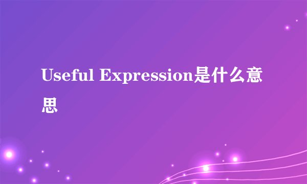 Useful Expression是什么意思