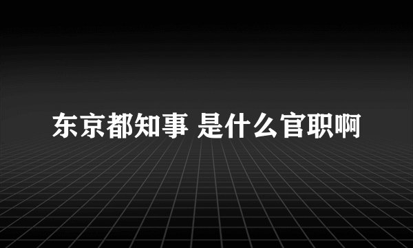 东京都知事 是什么官职啊
