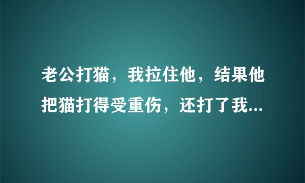 老公打猫，我拉住他，结果他把猫打得受重伤，还打了我，还让我发贴问问这事谁错