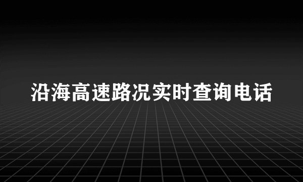 沿海高速路况实时查询电话