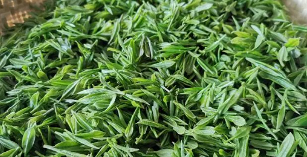 各种茶叶图片及名称有哪些?