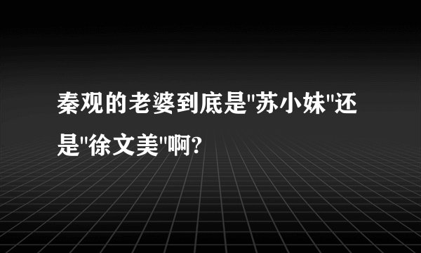 秦观的老婆到底是