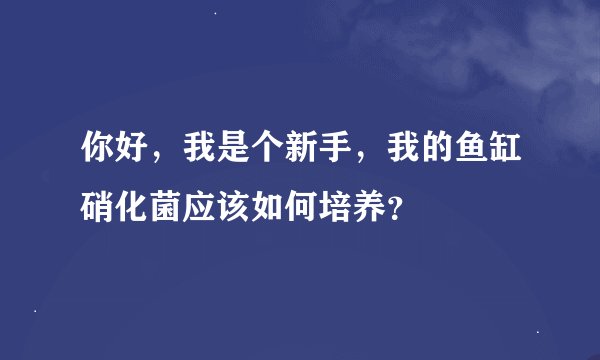你好,我是个新手,我的鱼缸硝化菌应该如何培养?