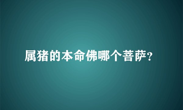 属猪的本命佛哪个菩萨？