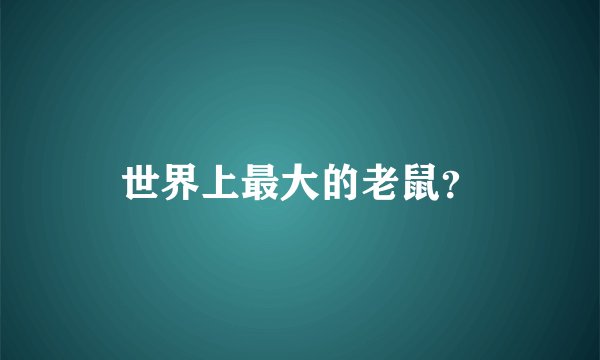 世界上最大的老鼠?