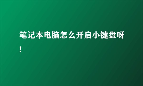 笔记本电脑怎么开启小键盘呀!