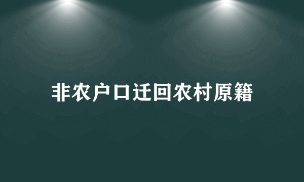 非农户口迁回农村原籍