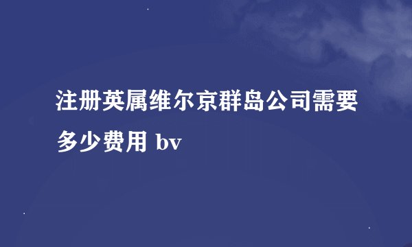 注册英属维尔京群岛公司需要多少费用 bv